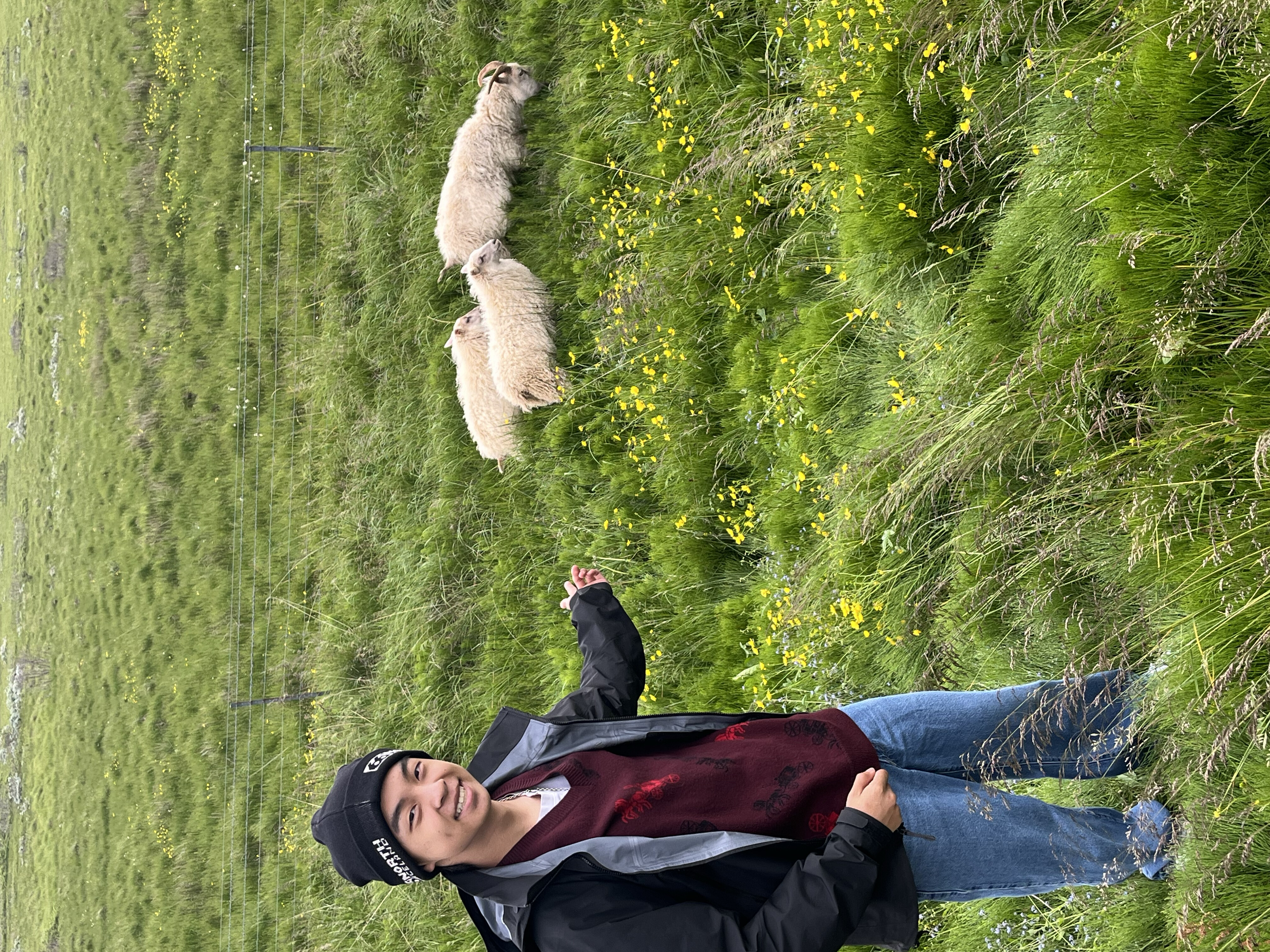 Iceland - tempImageYfIoT4.jpg